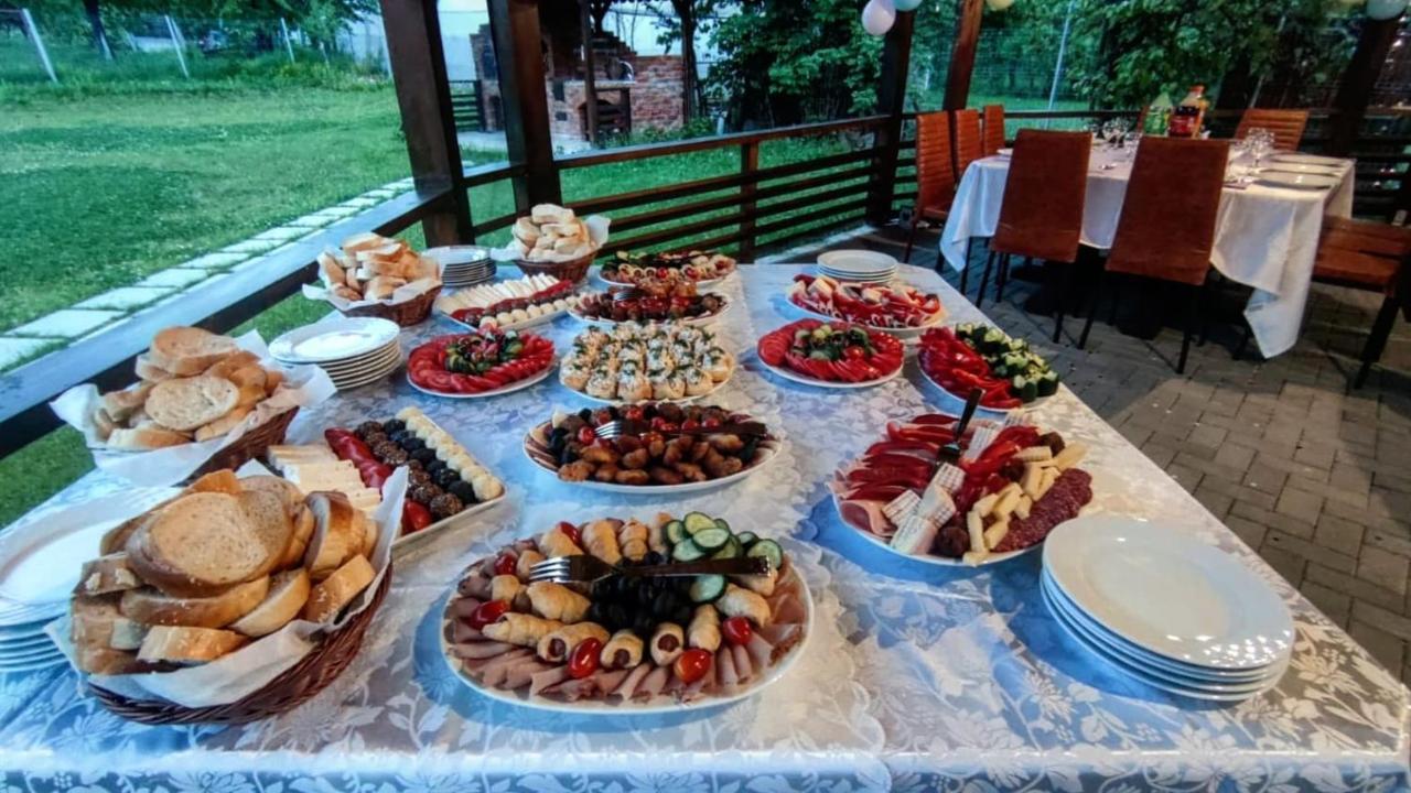 Pensiunea Casa Hortopan Târgu Jiu المظهر الخارجي الصورة