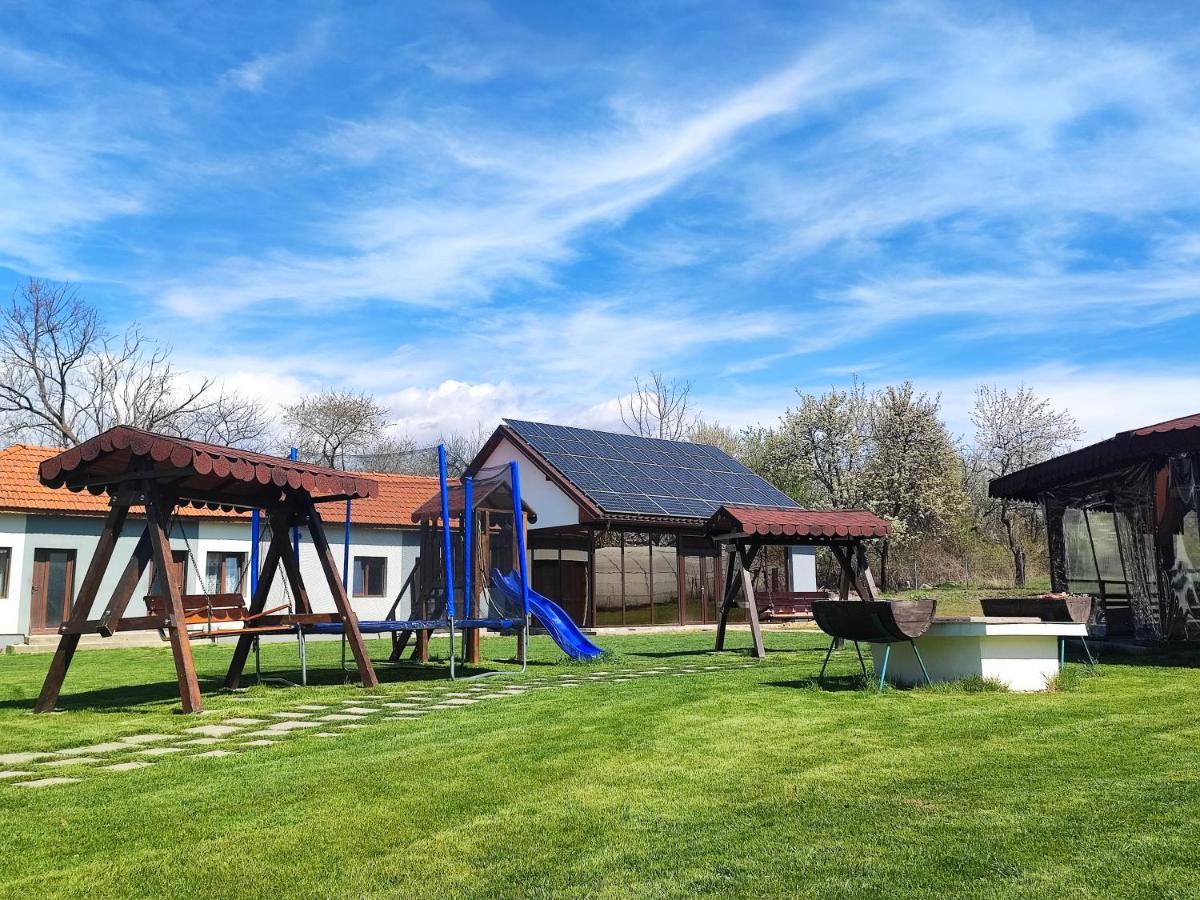 Pensiunea Casa Hortopan Târgu Jiu المظهر الخارجي الصورة