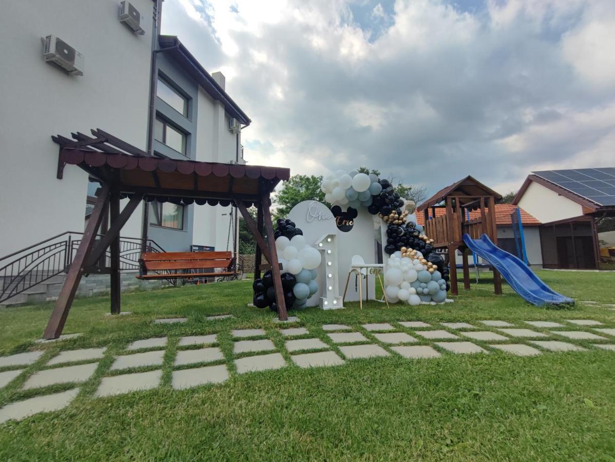 Pensiunea Casa Hortopan Târgu Jiu المظهر الخارجي الصورة